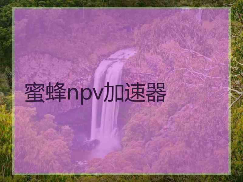蜜蜂npv加速器