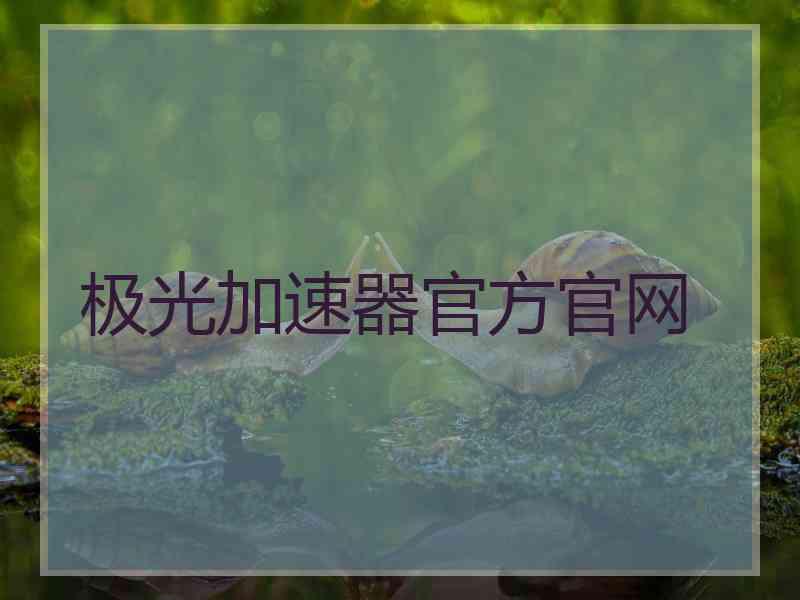 极光加速器官方官网