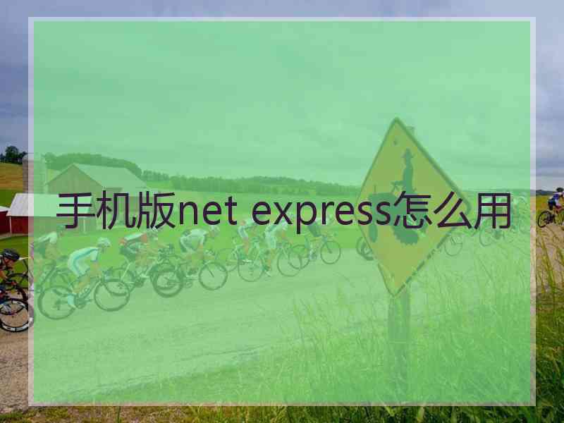 手机版net express怎么用