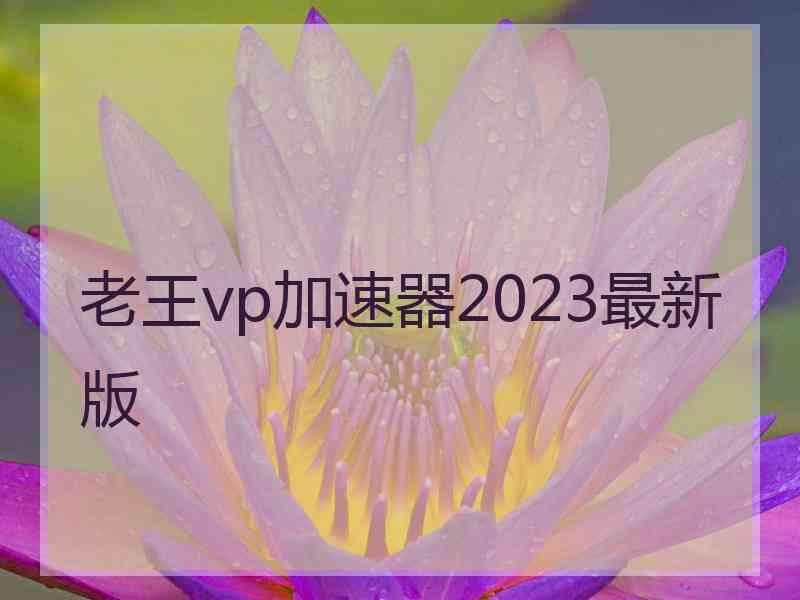 老王vp加速器2023最新版