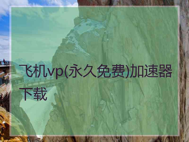 飞机vp(永久免费)加速器下载