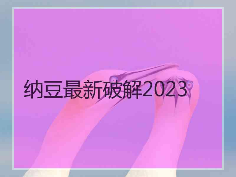 纳豆最新破解2023