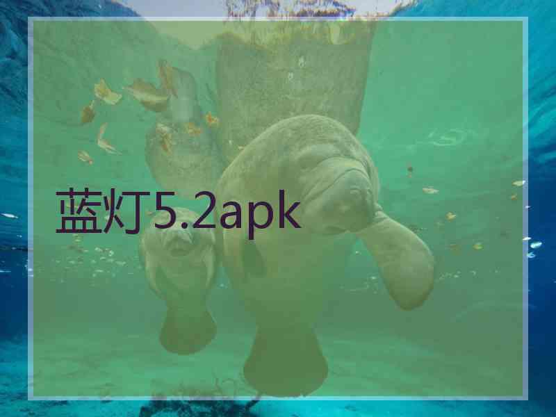 蓝灯5.2apk
