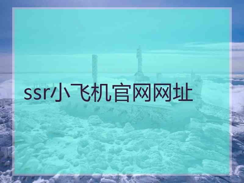ssr小飞机官网网址