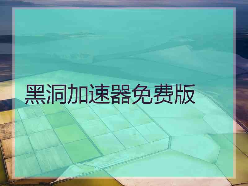 黑洞加速器免费版