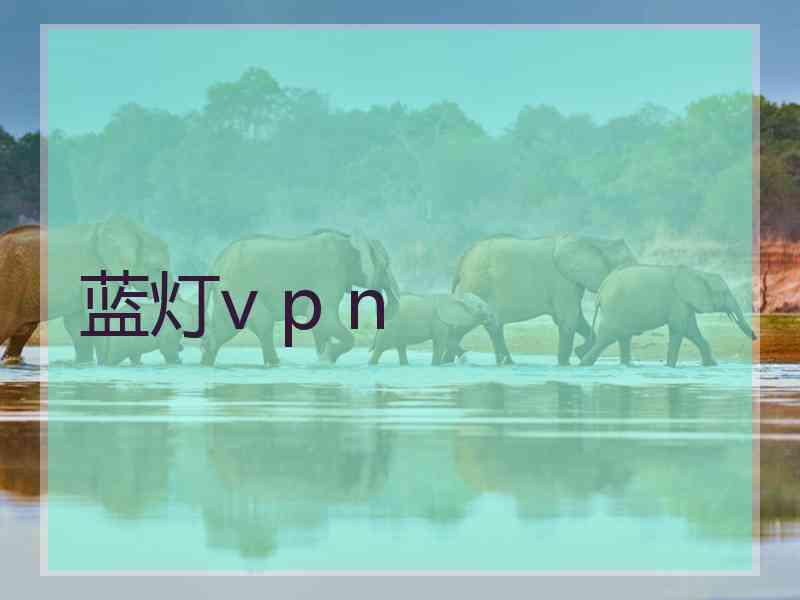蓝灯v p n