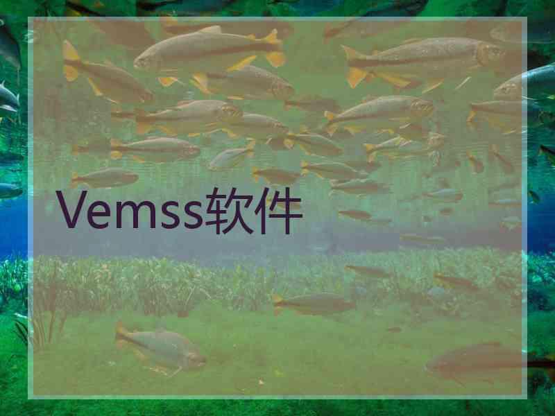 Vemss软件
