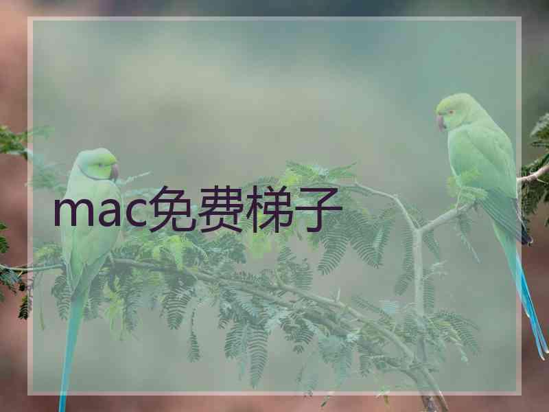 mac免费梯子