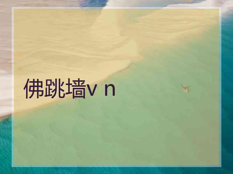 佛跳墙v n