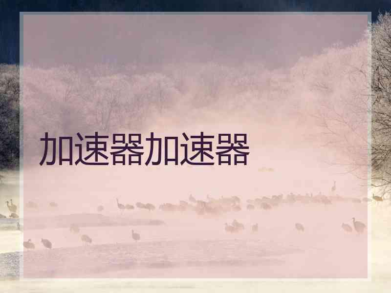 加速器加速器