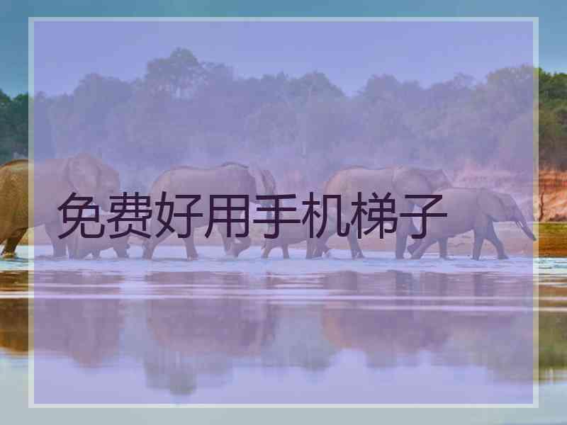 免费好用手机梯子