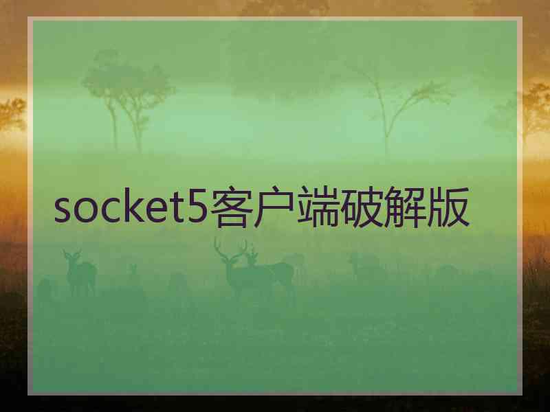 socket5客户端破解版