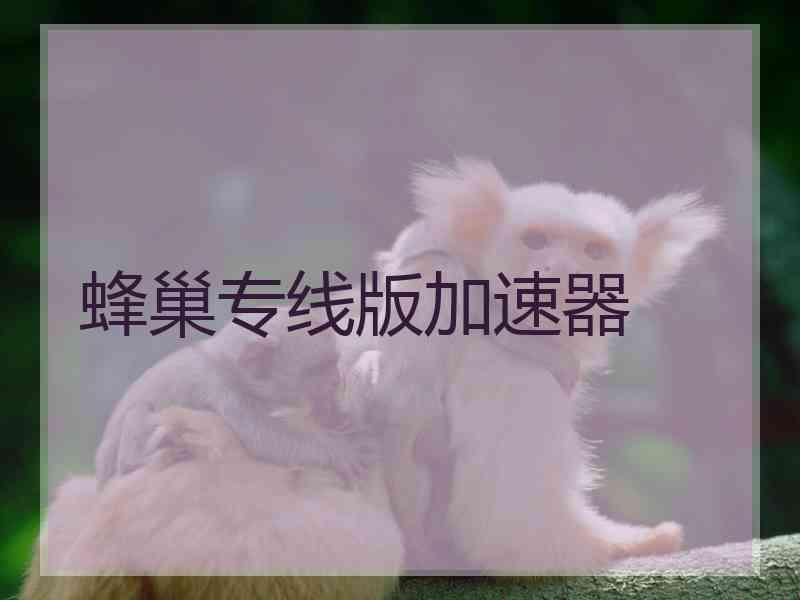 蜂巢专线版加速器