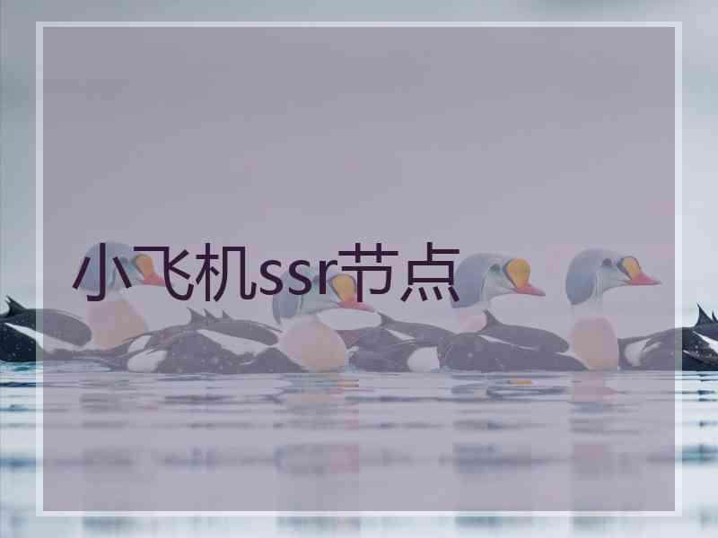 小飞机ssr节点