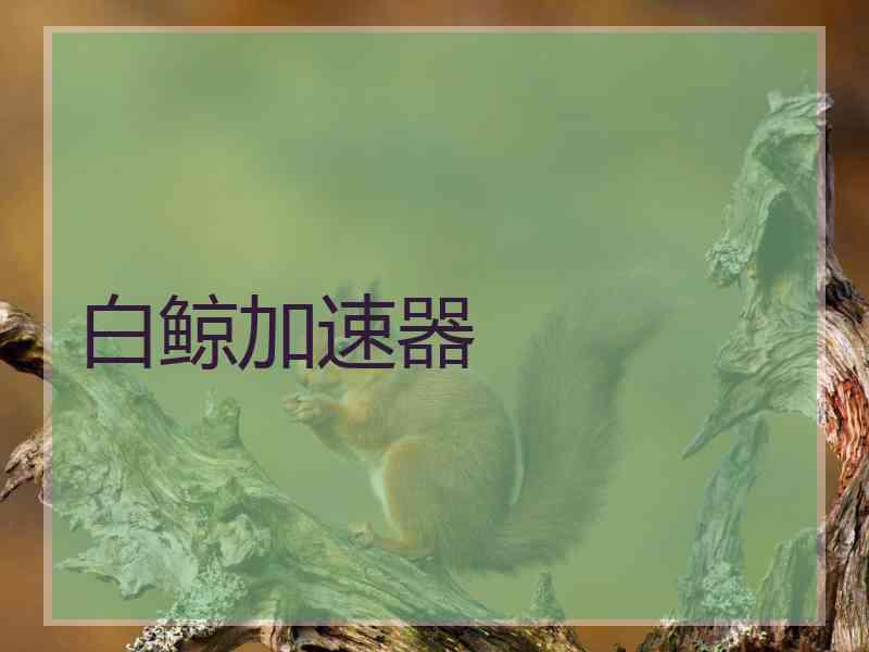 白鲸加速器