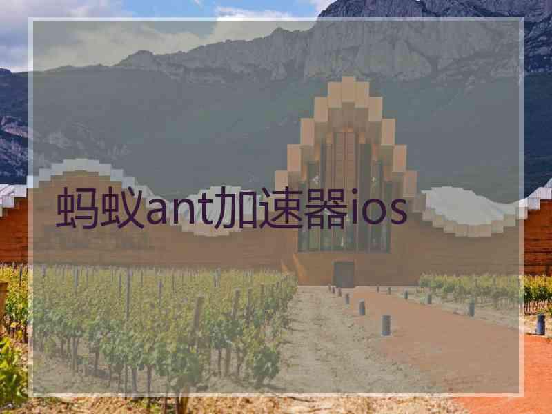 蚂蚁ant加速器ios