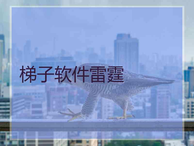 梯子软件雷霆