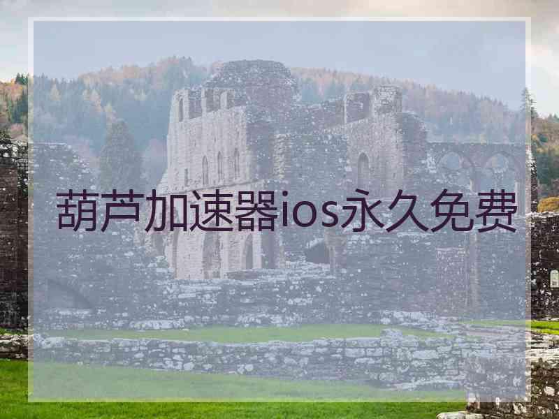 葫芦加速器ios永久免费