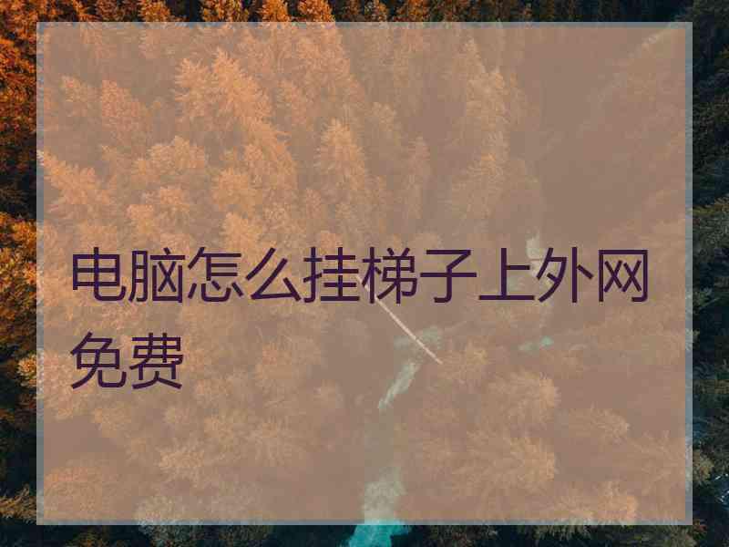 电脑怎么挂梯子上外网免费