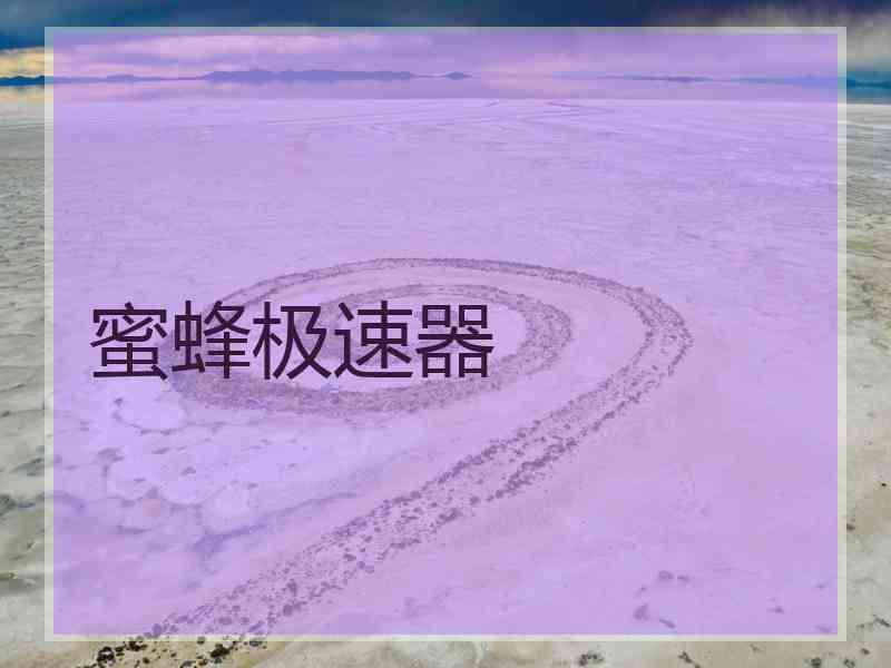 蜜蜂极速器