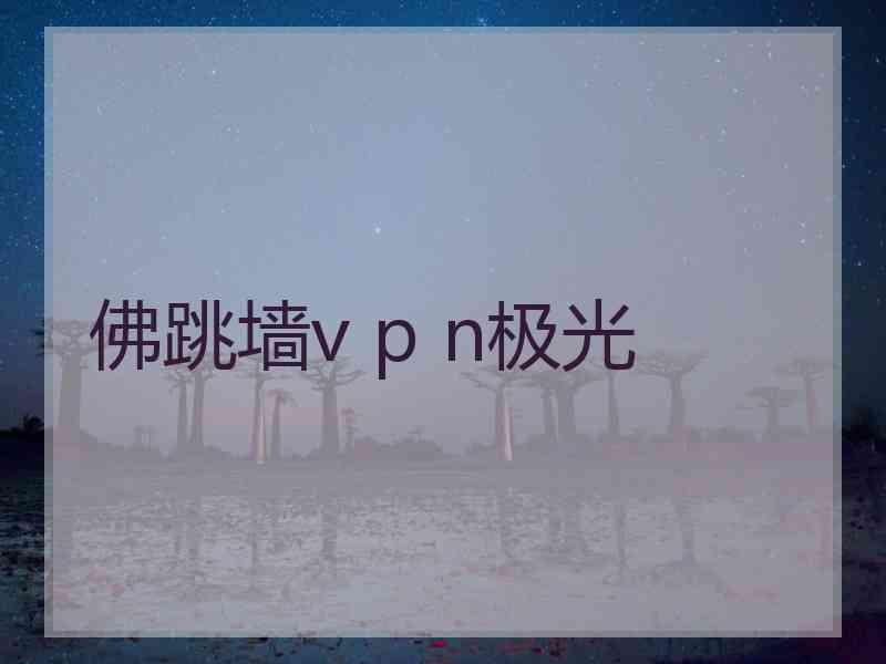 佛跳墙v p n极光