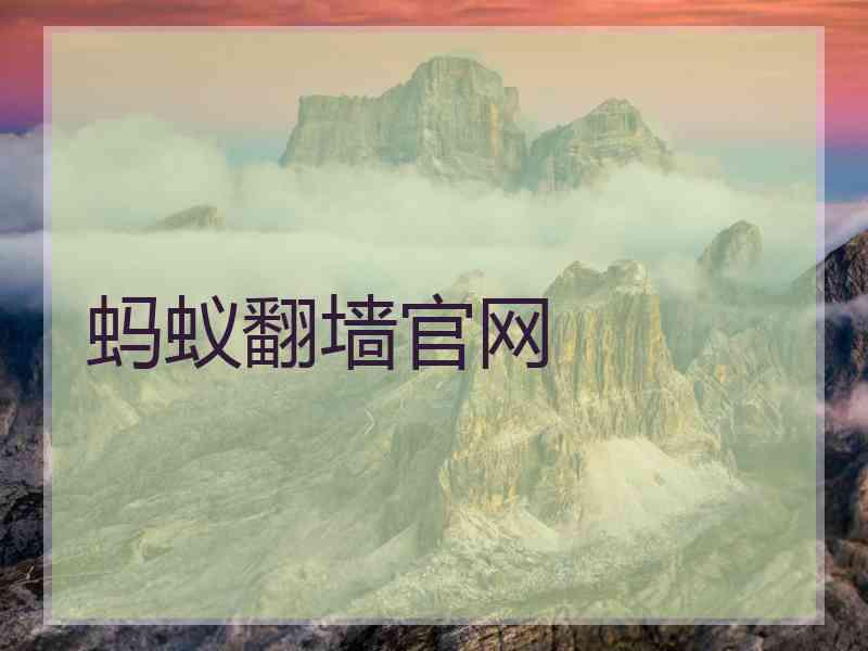 蚂蚁翻墙官网