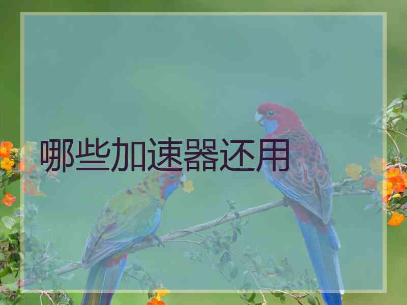 哪些加速器还用