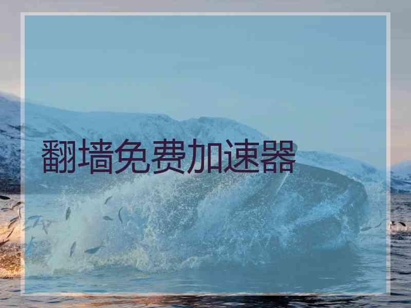 翻墙免费加速器