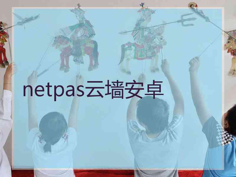 netpas云墙安卓