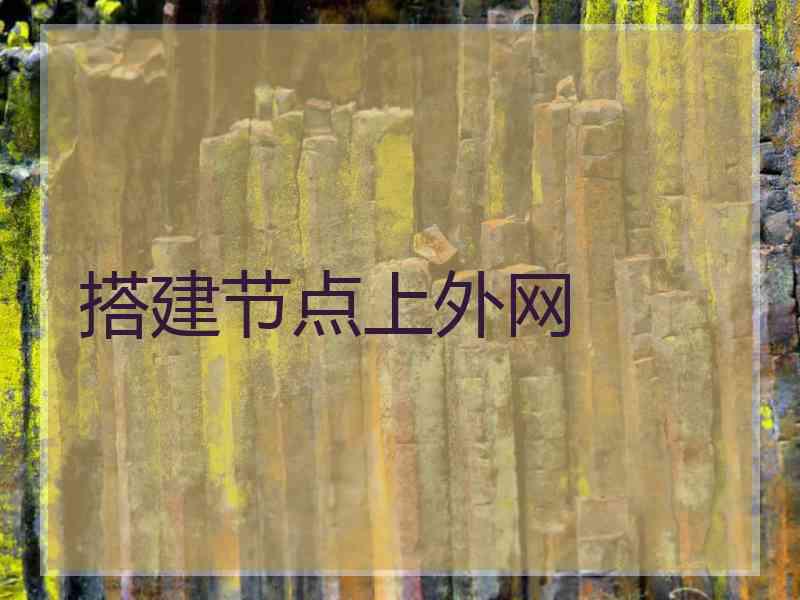 搭建节点上外网