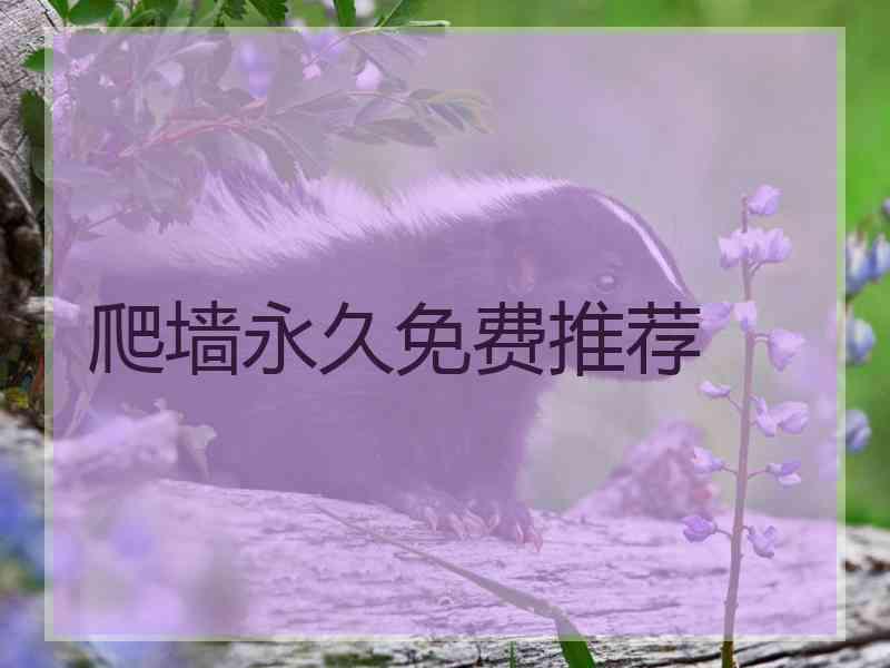 爬墙永久免费推荐