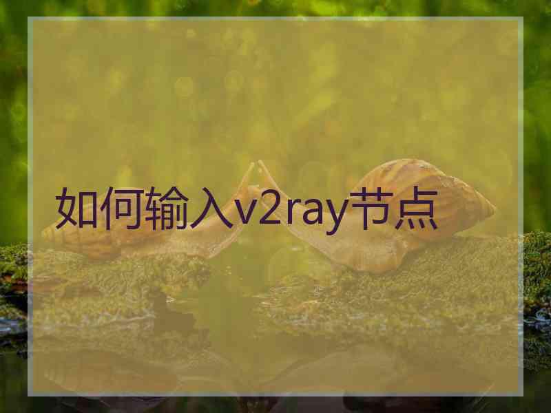 如何输入v2ray节点