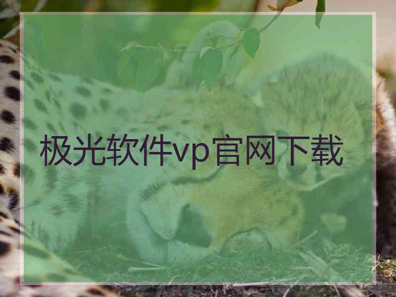 极光软件vp官网下载