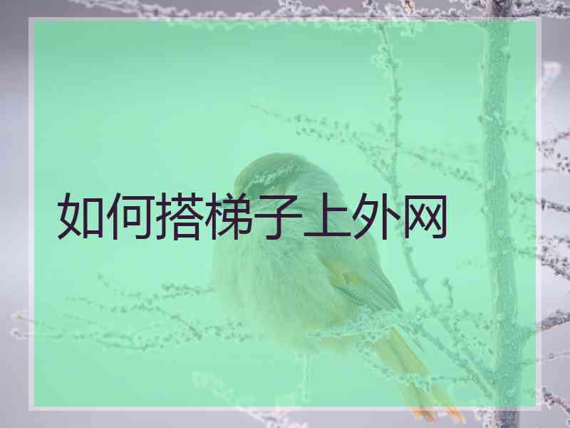 如何搭梯子上外网