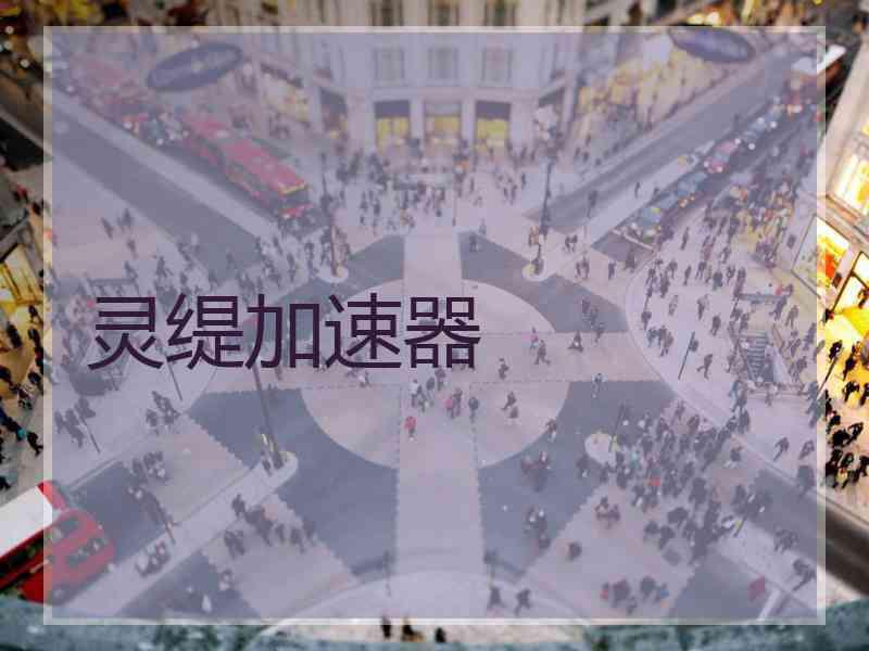 灵缇加速器