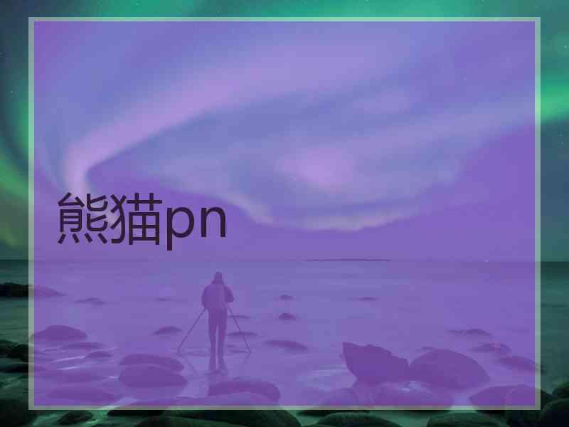 熊猫pn