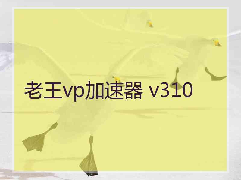 老王vp加速器 v310