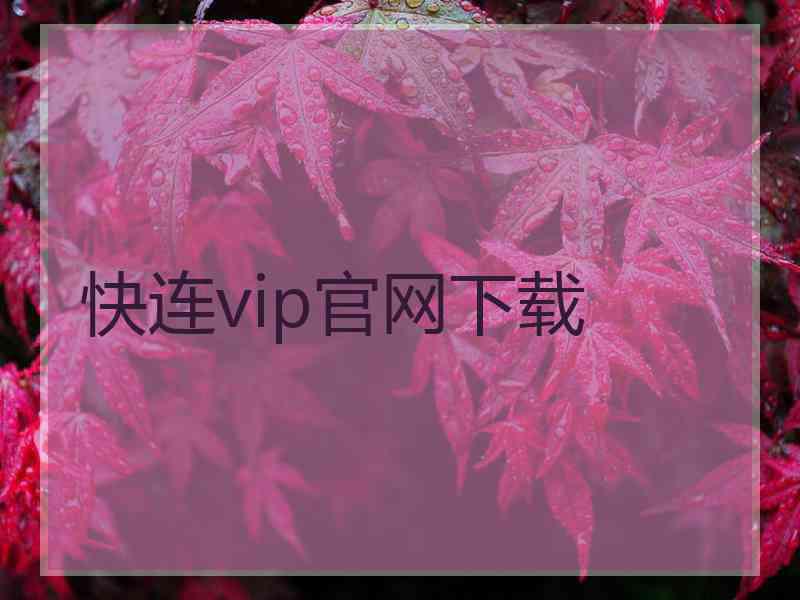 快连vip官网下载