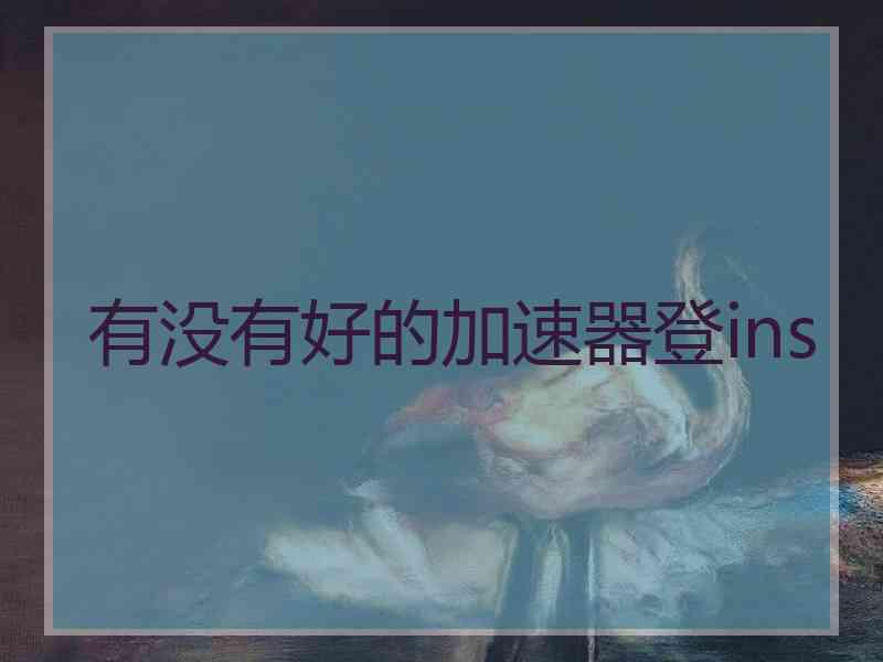 有没有好的加速器登ins