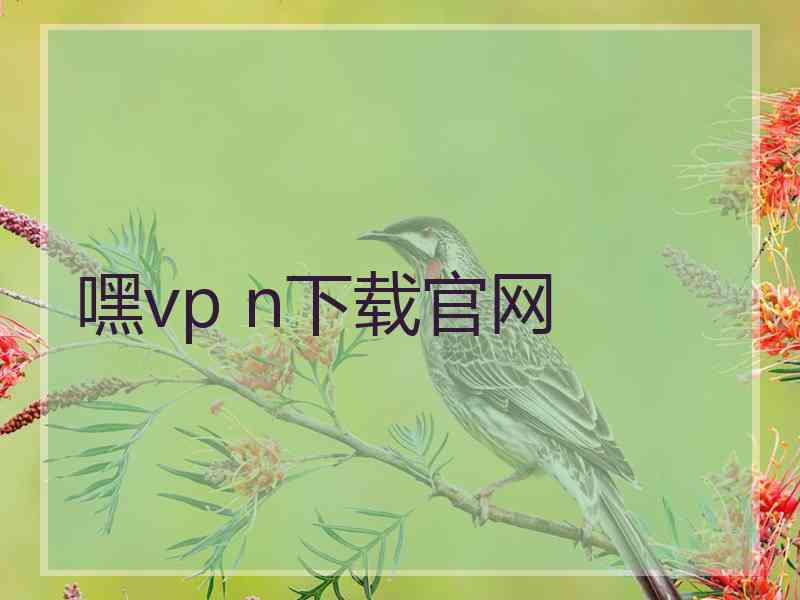 嘿vp n下载官网