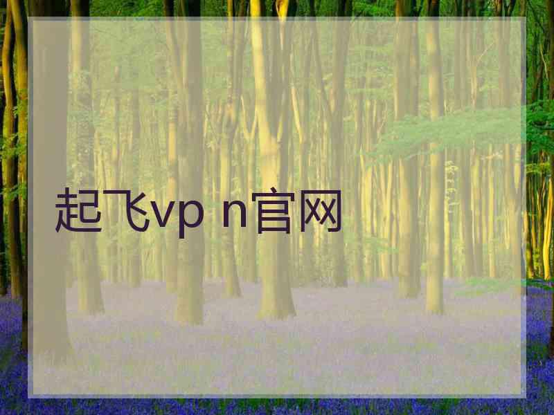 起飞vp n官网