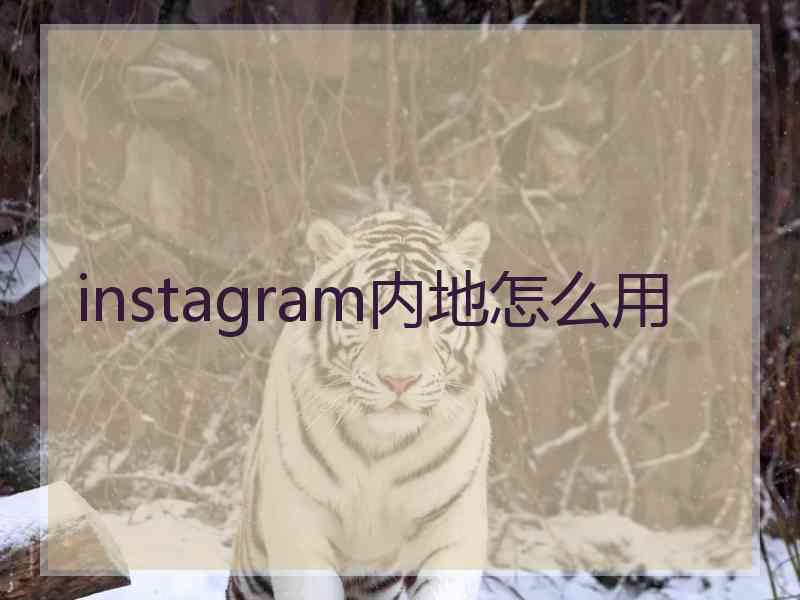 instagram内地怎么用