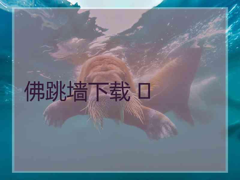 佛跳墙下载 	