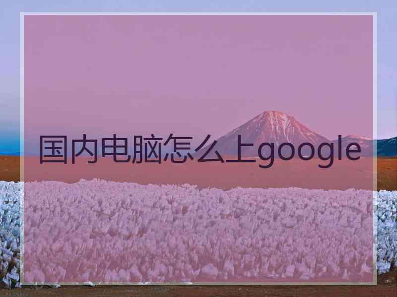 国内电脑怎么上google