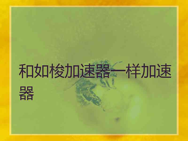 和如梭加速器一样加速器