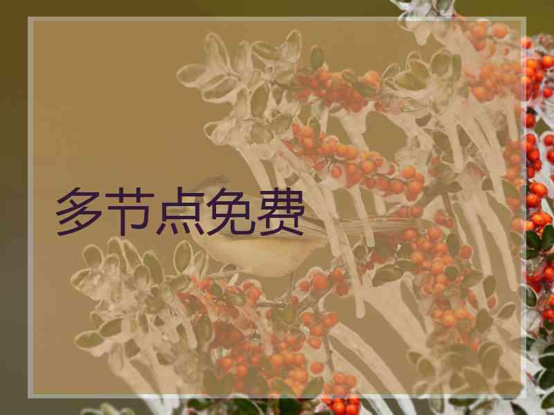 多节点免费