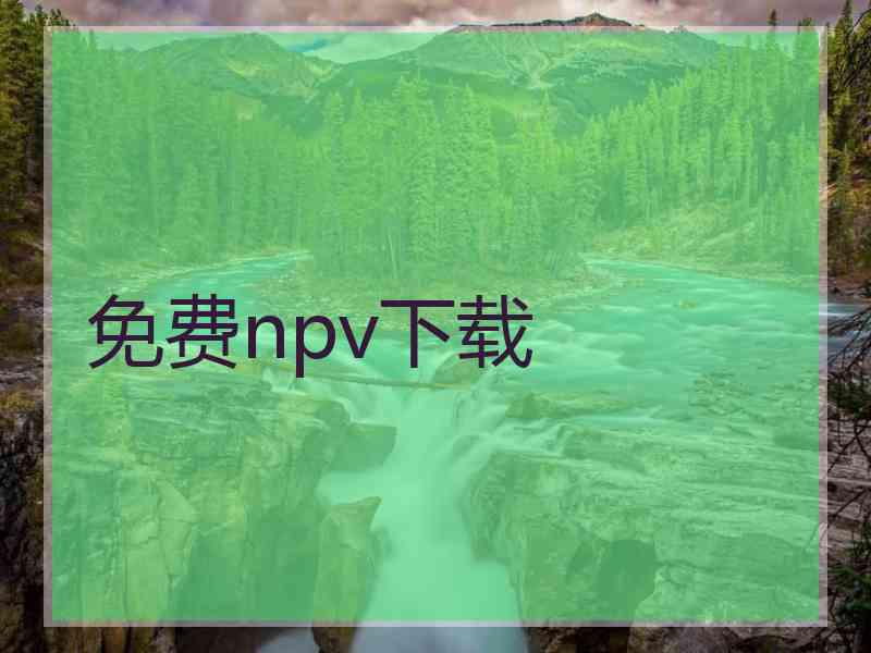 免费npv下载