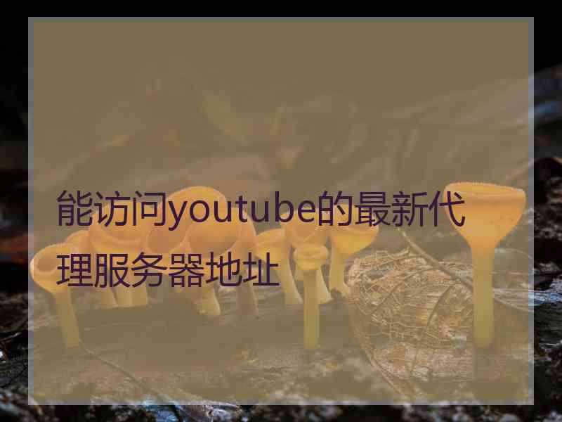 能访问youtube的最新代理服务器地址