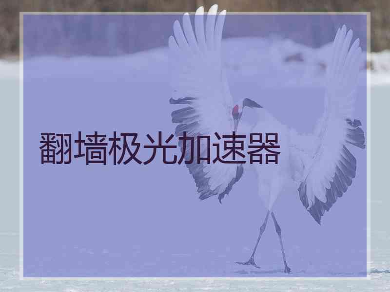 翻墙极光加速器