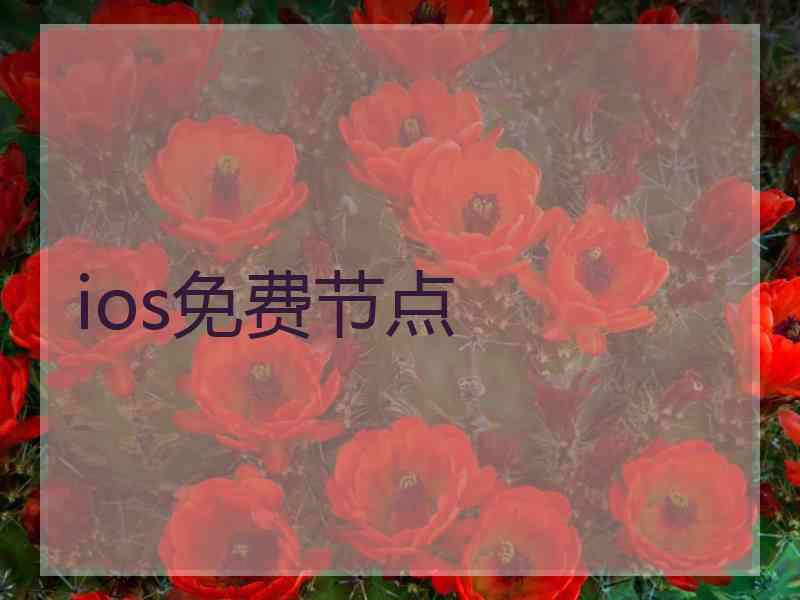 ios免费节点